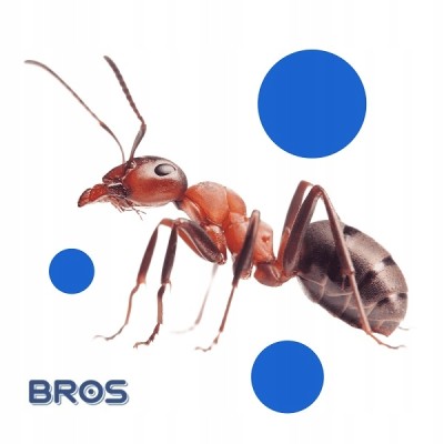 Bros Mrówex preparat w karmniku na mrówki ogrodowe 2g