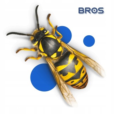 Bros Anty Osa preparat przeznaczony do zwalczania os i szerszeni spray 300ml