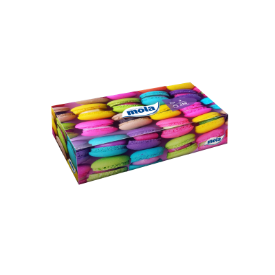 Mola Big Box 2- warstwowe chusteczki kosmetyczne kartonik 120 sztuk