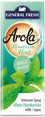 Arola, General Fresh Magiczna Szyszka, Marokańska Mięta, odświeżacz powietrza, zapas, 1 sztuka