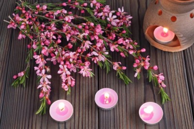 PODGRZEWACZE świeczki zapachowe Bispol p15-184 Aura WANILIA - ORCHIDEA / 6 sztuk