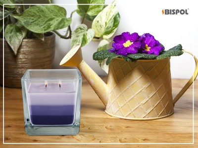 Bispol Aura snk80-13 OWOCE LEŚNE trójkolorowa świeca zapachowa w szkle - 32H