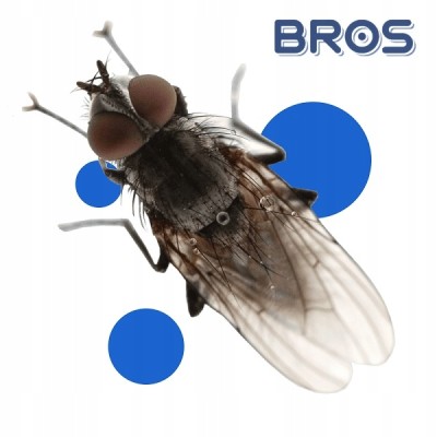 Bros lep na muchy kurtyna 32 x 60 cm - 5 sztuk