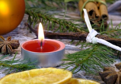 Bolsius True Scents Granat podgrzewacze zapachowe 4 godzinne - 18 sztuk