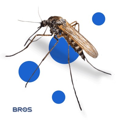 Bros Amaris żel łagodzący ukąszenia owadów 50ml