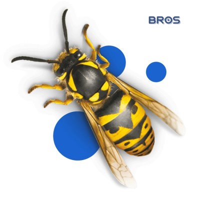 Bros Amaris żel łagodzący ukąszenia owadów 50ml