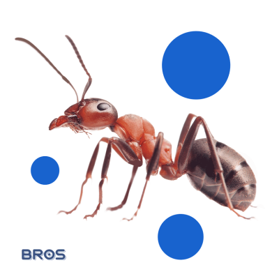 Bros Amaris żel łagodzący ukąszenia owadów 50ml