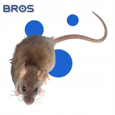 Bros trutka w formie pasty na myszy i szczury 1kg