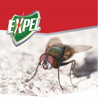 Expel naklejka na muchy w taśmie - 12 sztuk