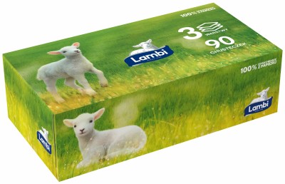 Lambi Natures Best chusteczki kosmetyczne 3-warstwowe kartonik 90 szt.