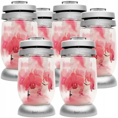 Bolsius Różowe Kwiaty lampion 3s 01 znicz 6 sztuk