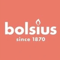 Bolsius lampion Anioł 3s 17 znicz 6 sztuk