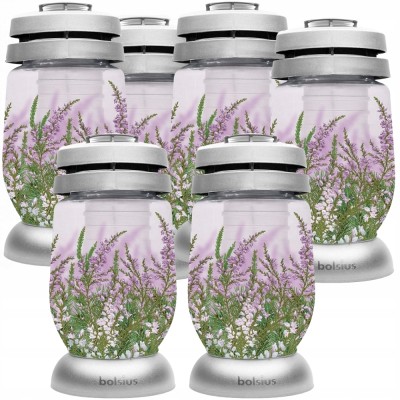 Bolsius Wrzosy lampion  3s 16 znicz 6 sztuk