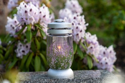 Bolsius Wrzosy lampion  3s 16 znicz 6 sztuk