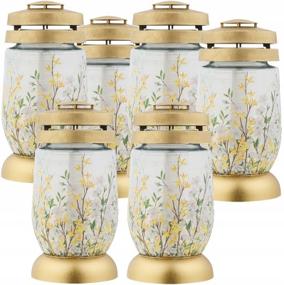 Bolsius Forsycja lampion 3s 14 znicz 6 sztuk