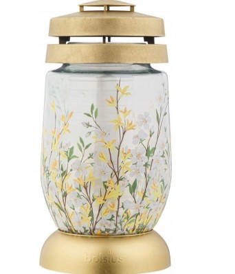 Bolsius lampion Forsycja 3s 14 znicz 6 sztuk