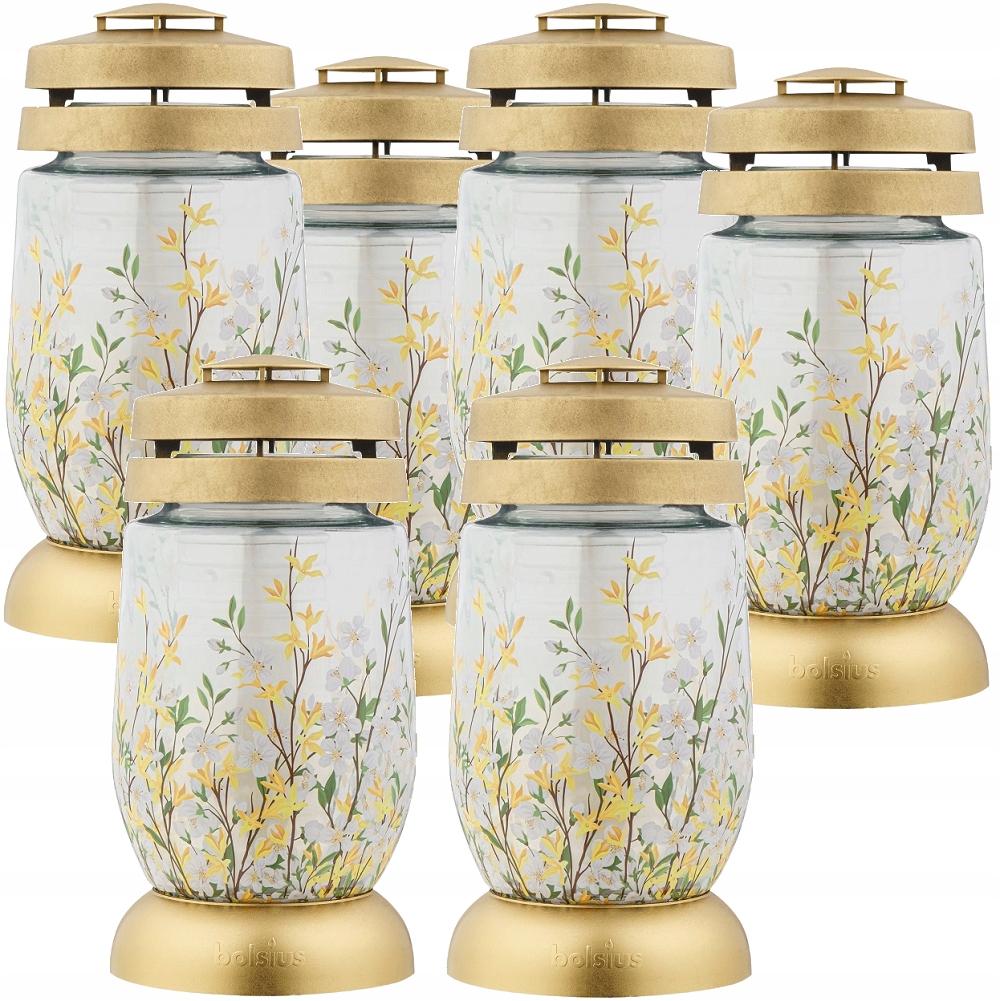 Bolsius Forsycja lampion 3s 14 znicz 6 sztuk