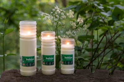 Bolsius wkład parafinowy do zniczy RP3 zgrzewka 20 sztuk (68h)