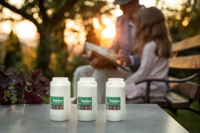 Bolsius wkład olejowy RC4 zgrzewka 20 sztuk (75h)