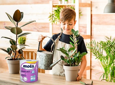 Mola Komfort Rolka ręcznik kuchenny x 5 sztuk