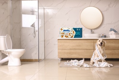 Mola Zestaw Będzie UPS papier toaletowy 8 rolek x 5 sztuk