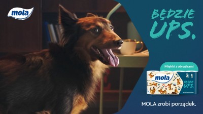 Mola Zestaw Będzie UPS papier toaletowy 8 rolek x 9 sztuk