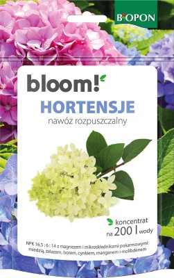 Biopon bloom! rozpuszczalny nawóz koncentrat do hortensji 200g