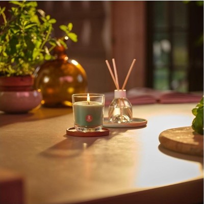 Bolsius True Scents Rozmaryn świeca zapachowa 97/85 w szkle