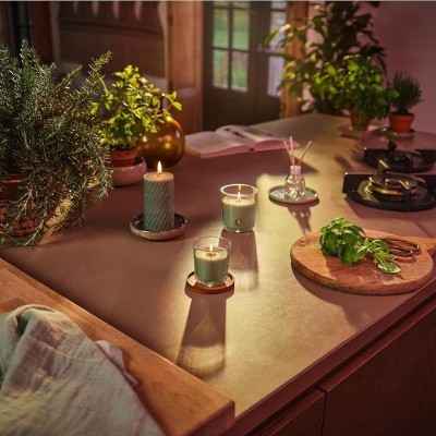 Bolsius True Scents Rozmaryn świeca zapachowa 80/73 w szkle