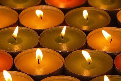 Bolsius True Scents Rozmaryn podgrzewacze zapachowe 4 godzinne - 18 sztuk