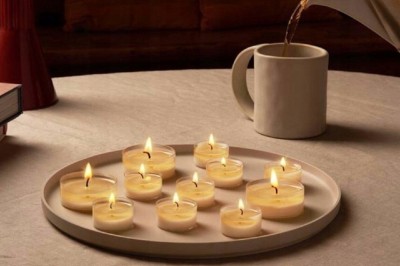 Bolsius True Scents Rozmaryn podgrzewacze zapachowe Maxi 8 godzinne - 8 sztuk