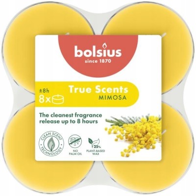 Bolsius True Scents Mimoza podgrzewacze zapachowe Maxi 8 godzinne - 8 sztuk
