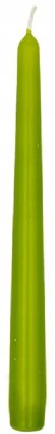 Bolsius Jasno Zielona świeca stołowa szpica 245/24mm - 12 sztuk