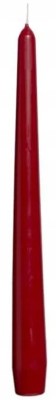 Bolsius Bordowa świeca stołowa szpica 245/24mm - 12 sztuk