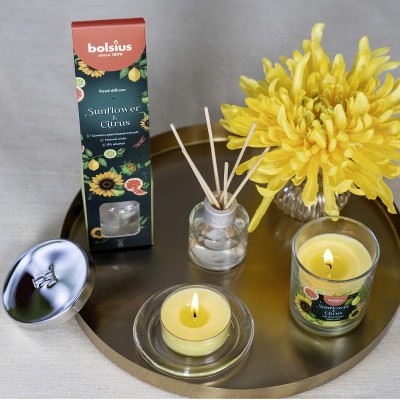 Bolsius Floral Fusion Słonecznik i Cytrusy świece zapachowe Maxi 8h / 8 sztuk
