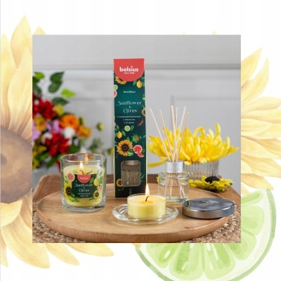 Bolsius Floral Fusion Słonecznik i Cytrusy świece zapachowe Maxi 8h / 8 sztuk