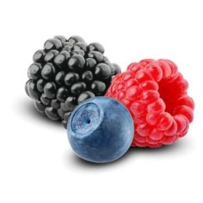 Forte+ Owoce leśne zapachowe worki na śmieci 60l / 10 sztuk