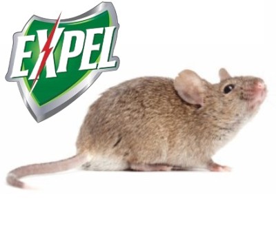 Expel pasta na myszy i szczury 150g