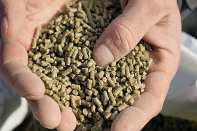 Bopon Natural Owczy obornik granulowany BiOPON 10L