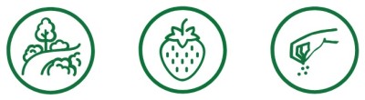 Bopon Natural nawóz 100% organiczny do truskawek BiOPON 1kg