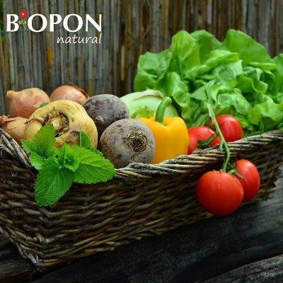 Bopon Biohumus wieloskładnikowy płynny nawóz organiczno mineralny do warzyw i ziół BiOPON 500ml