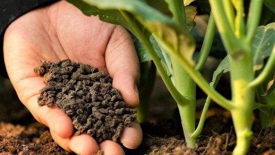 Bopon Natural Kurzy obornik granulowany do ogrodu BiOPON 5L