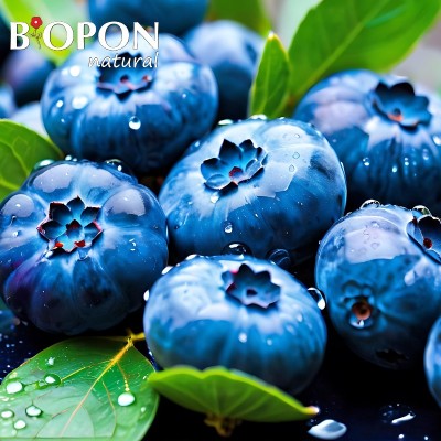 Bopon Natural nawóz 100% organiczny do borówek BiOPON 1kg